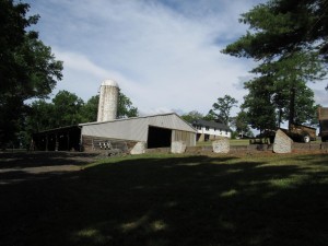 Farm Team Farm